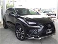 2020 Lexus NX