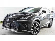 2020 Lexus NX
