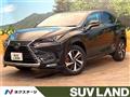 2020 Lexus NX