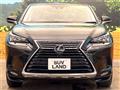 2020 Lexus NX