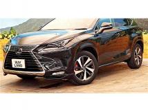 2020 Lexus NX