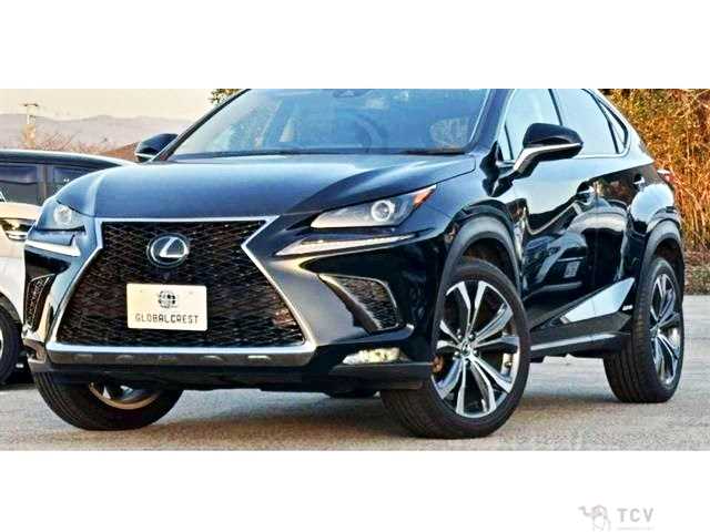 2020 Lexus NX