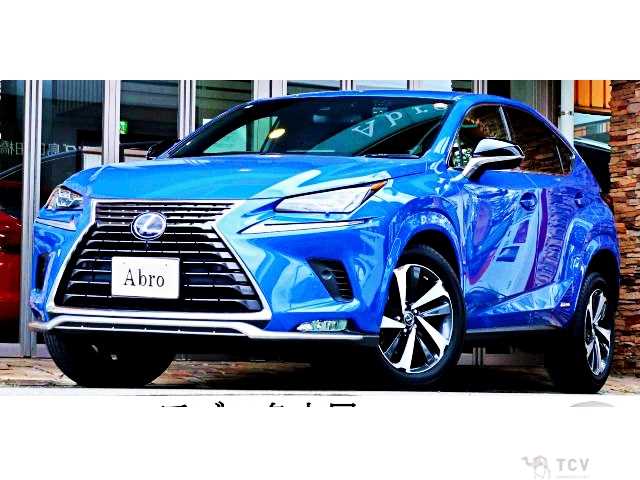 2020 Lexus NX