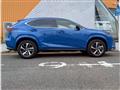 2020 Lexus NX
