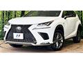 2020 Lexus NX