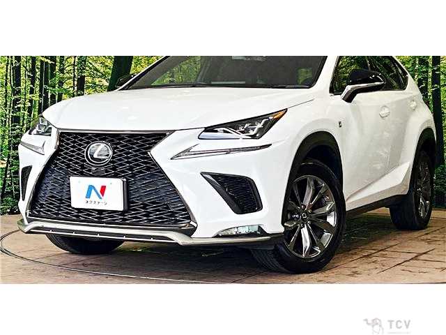 2020 Lexus NX