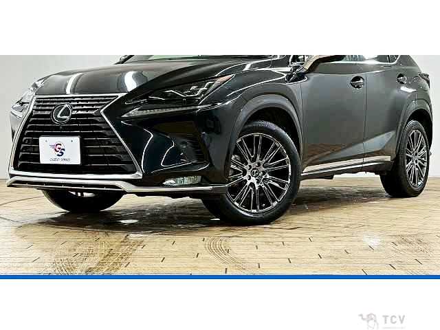 2020 Lexus NX
