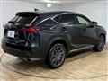 2020 Lexus NX