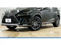2020 Lexus NX