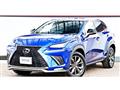 2020 Lexus NX