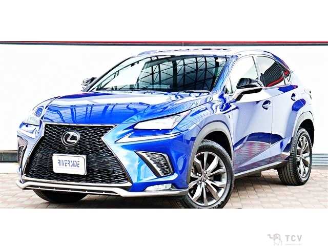 2020 Lexus NX