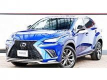 2020 Lexus NX