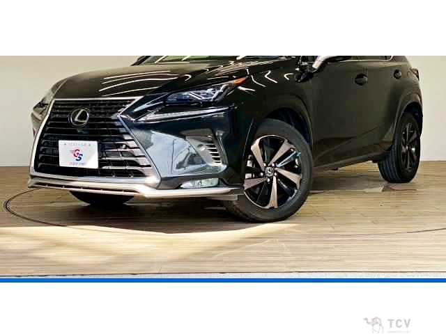 2020 Lexus NX