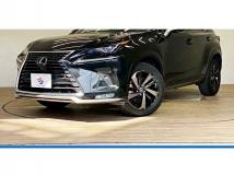 2020 Lexus NX