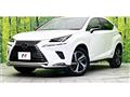 2020 Lexus NX
