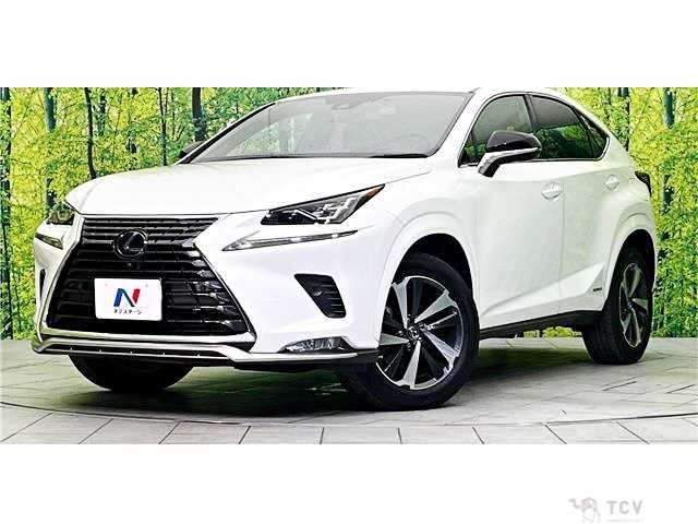 2020 Lexus NX
