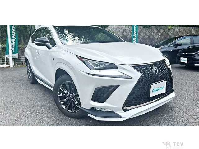 2020 Lexus NX