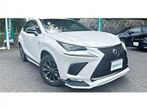 2020 Lexus NX