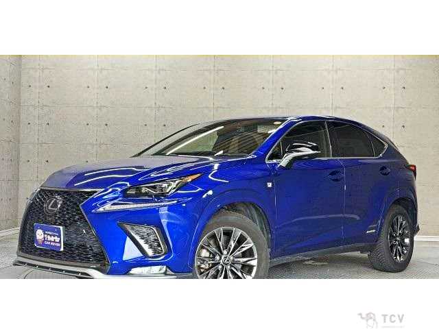 2020 Lexus NX