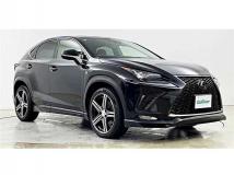 2020 Lexus NX
