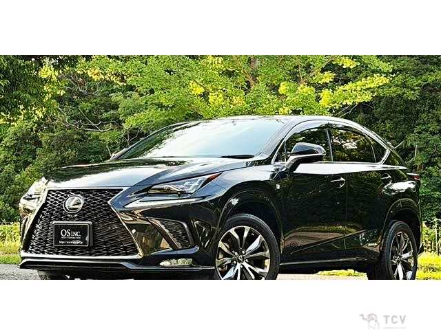 2020 Lexus NX
