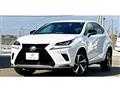 2020 Lexus NX