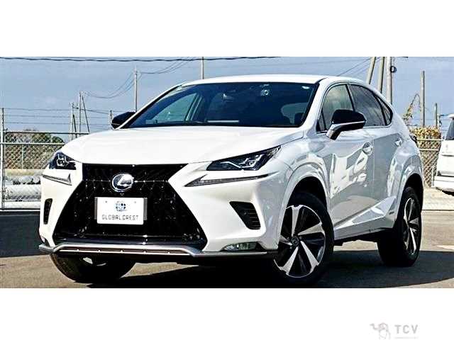 2020 Lexus NX