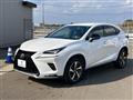 2020 Lexus NX