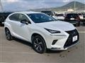 2020 Lexus NX