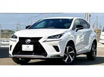 2020 Lexus NX