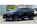 2020 Lexus NX