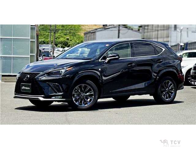 2020 Lexus NX