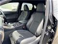 2020 Lexus NX
