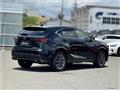 2020 Lexus NX