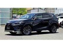 2020 Lexus NX