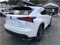 2020 Lexus NX