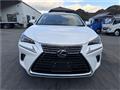 2020 Lexus NX