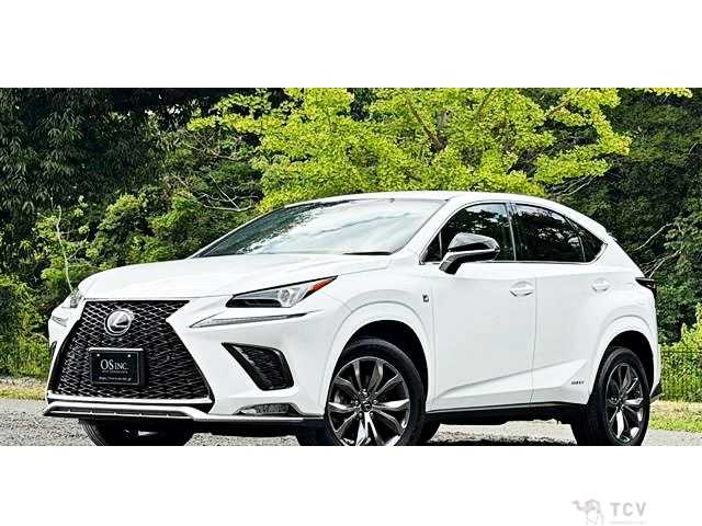 2020 Lexus NX
