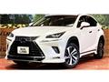 2020 Lexus NX