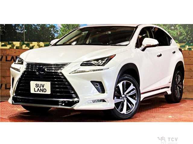 2020 Lexus NX