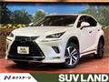 2020 Lexus NX