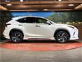 2020 Lexus NX