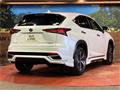2020 Lexus NX