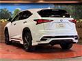 2020 Lexus NX