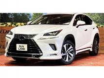 2020 Lexus NX