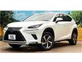 2020 Lexus NX