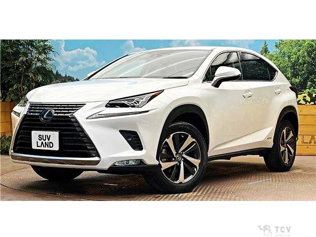 2020 Lexus NX