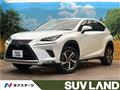 2020 Lexus NX
