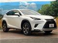 2020 Lexus NX