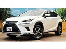 2020 Lexus NX